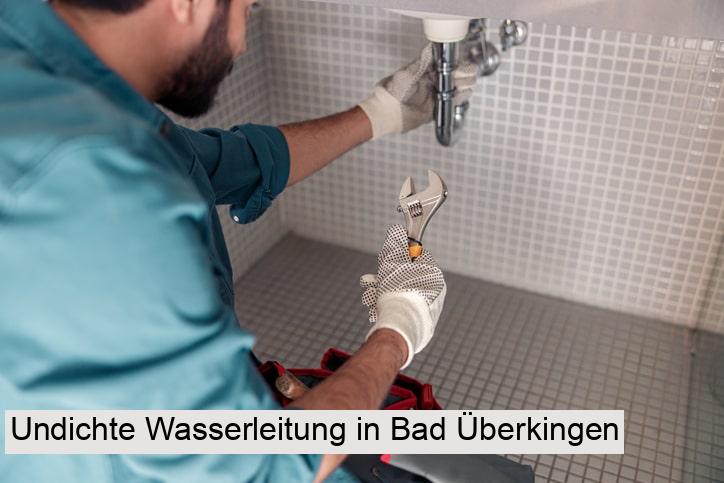 Undichte Wasserleitung in Bad Überkingen